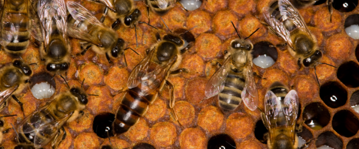 En mai, des formations pour perfectionner vos pratiques